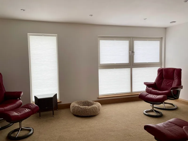 Glass Mounted Tru-Fit Duette Blinds with No Frame for Tilt & Turn Windows 1