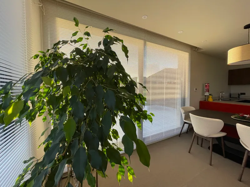 Motorised 25mm Venetian Blinds from The Scottish Shutter Company 1