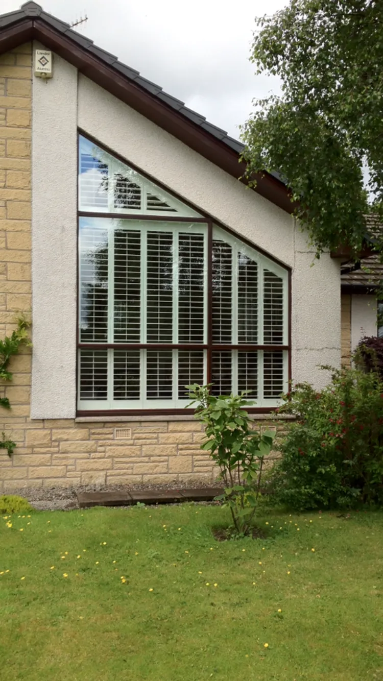 29EEE5DC-3D4D-4FA1-99FA-6521907D2B2F 2